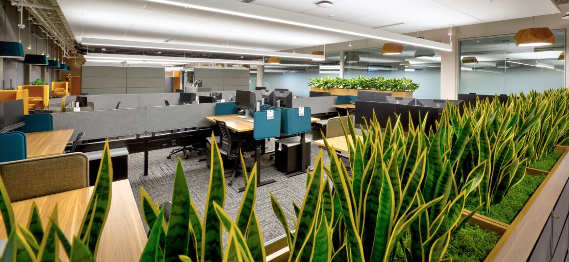 Office desks surrounded by greenery
